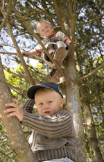 Pojkar klättrar i träd
